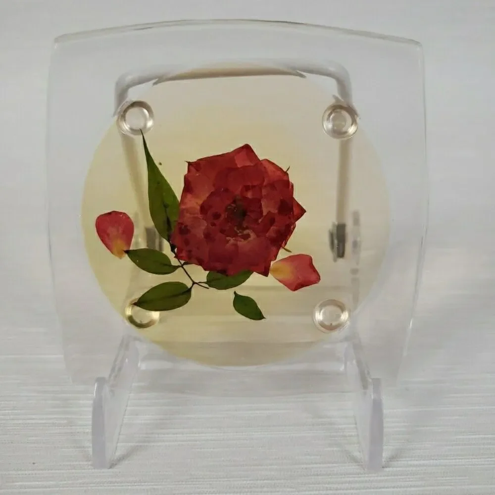 VTG 5 Clear Lucite Acrylic Coasters Pressed Flowers Clover Romantic Cottage MCM